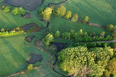 BUITEN BEELD Foto: 265771