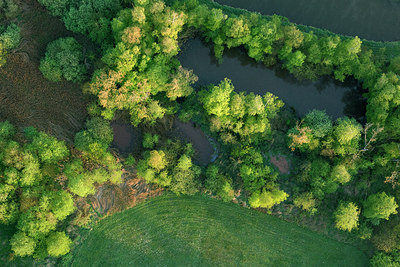 BUITEN BEELD Foto: 265774