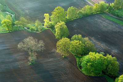 BUITEN BEELD Foto: 265788