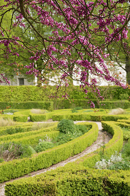 BUITEN BEELD Foto: 265795