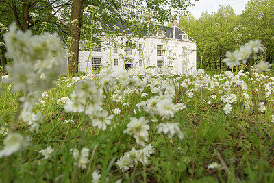 BUITEN BEELD Foto: 265817