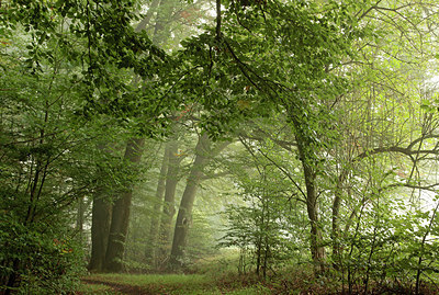 BUITEN BEELD Foto: 265832