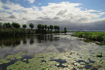 BUITEN BEELD Foto: 265833