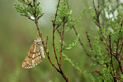 BUITEN BEELD Foto: 265847