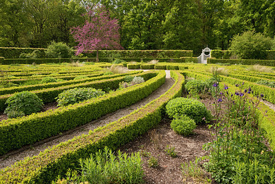 BUITEN BEELD Foto: 265874