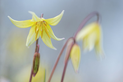 BUITEN BEELD Foto: 265883