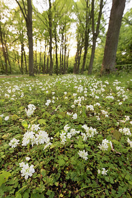 BUITEN BEELD Foto: 265900