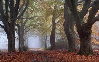 BUITEN BEELD Foto: 265953