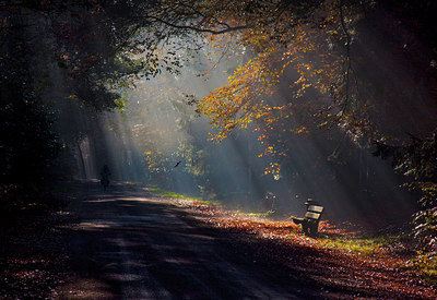 BUITEN BEELD Foto: 265954