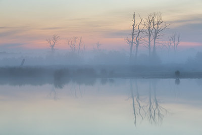 BUITEN BEELD Foto: 265956