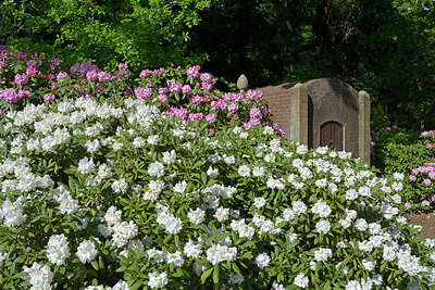 BUITEN BEELD Foto: 265978