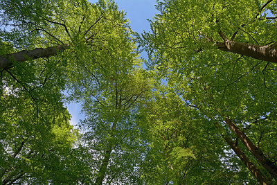 BUITEN BEELD Foto: 265980