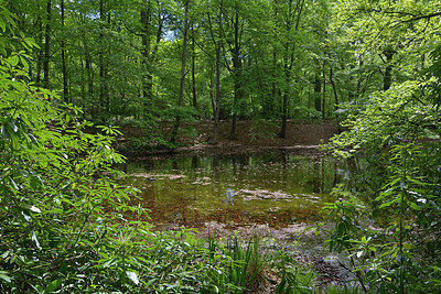 BUITEN BEELD Foto: 265988