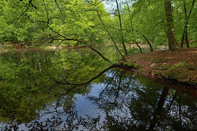 BUITEN BEELD Foto: 265989