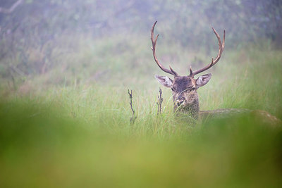 BUITEN BEELD Foto: 266090