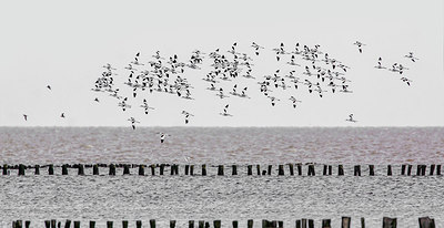 BUITEN BEELD Foto: 266204