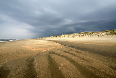 BUITEN BEELD Foto: 266252