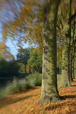 BUITEN BEELD Foto: 266281