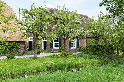 BUITEN BEELD Foto: 266310