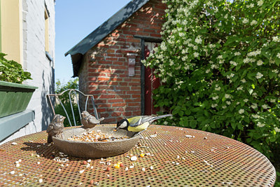 BUITEN BEELD Foto: 266316