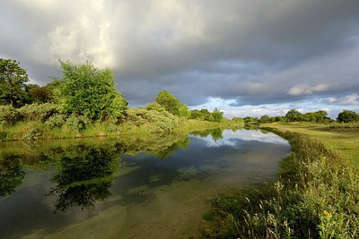 BUITEN BEELD Foto: 266443
