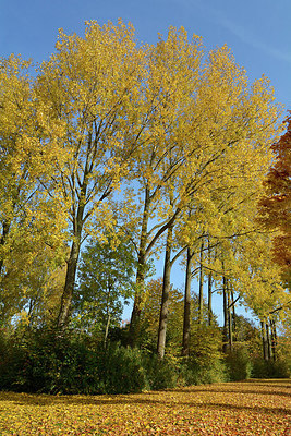 BUITEN BEELD Foto: 266475