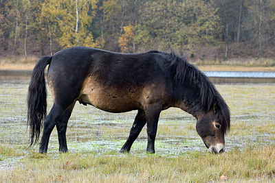 BUITEN BEELD Foto: 266476