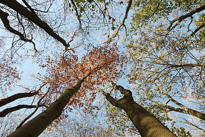 BUITEN BEELD Foto: 266505