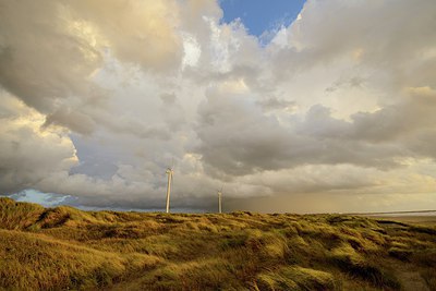 BUITEN BEELD Foto: 266651