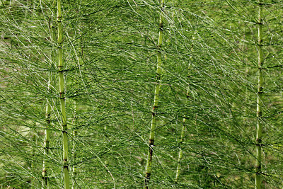 BUITEN BEELD Foto: 266662