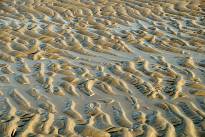 BUITEN BEELD Foto: 266664