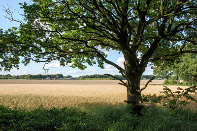 BUITEN BEELD Foto: 266811
