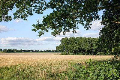 BUITEN BEELD Foto: 266813