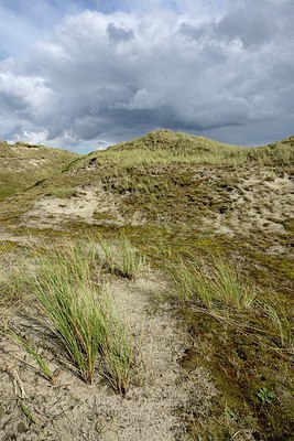 BUITEN BEELD Foto: 266835
