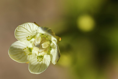 BUITEN BEELD Foto: 266846