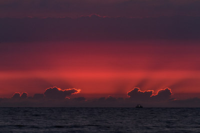 BUITEN BEELD Foto: 266850