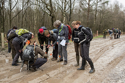 BUITEN BEELD Foto: 266900