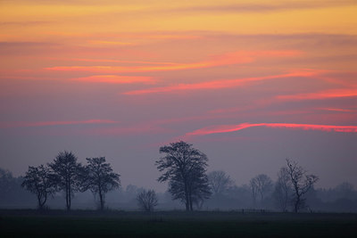 BUITEN BEELD Foto: 266906