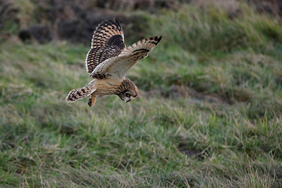 BUITEN BEELD Foto: 266909