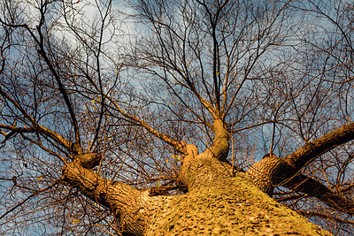 BUITEN BEELD Foto: 266916