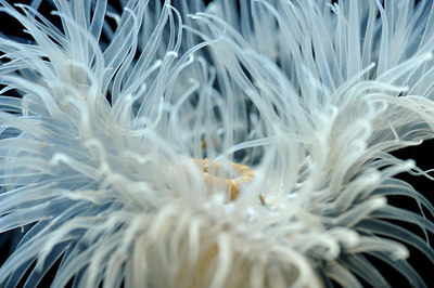 BUITEN BEELD Foto: 266952