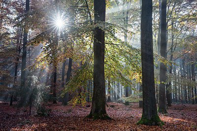 BUITEN BEELD Foto: 266966