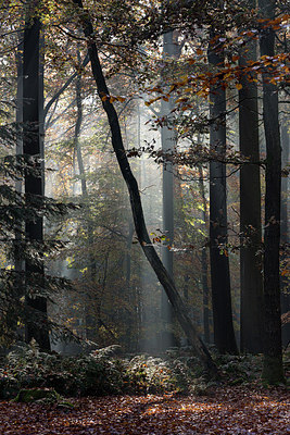 BUITEN BEELD Foto: 266976