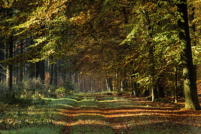 BUITEN BEELD Foto: 267004