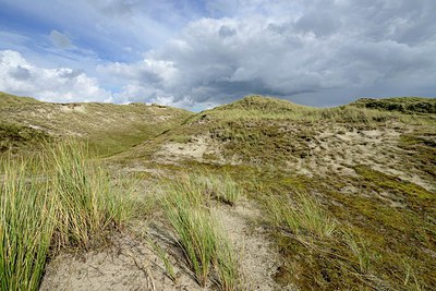 BUITEN BEELD Foto: 267104