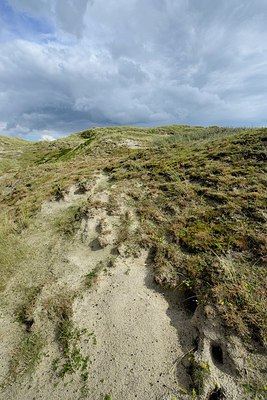 BUITEN BEELD Foto: 267106