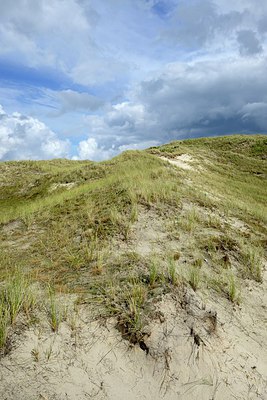 BUITEN BEELD Foto: 267108