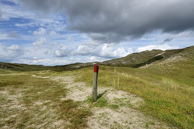 BUITEN BEELD Foto: 267111
