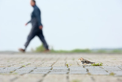 BUITEN BEELD Foto: 267117