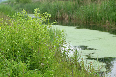 BUITEN BEELD Foto: 267125